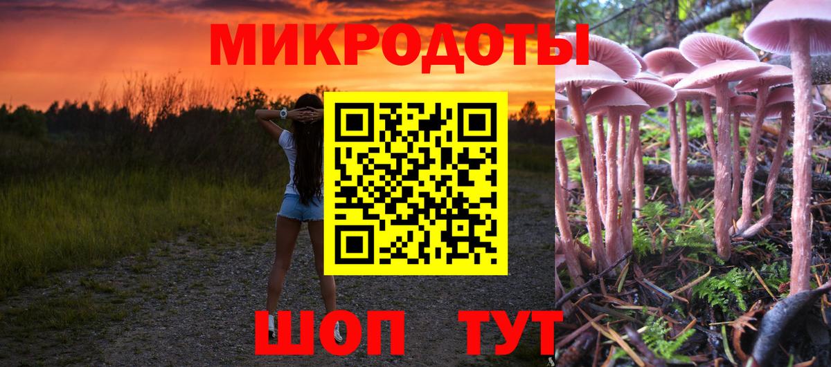 Галлюциногенные грибы Cubensis  Псилоцибиновые грибы прущие грибы  Вход с VPN  Балашов 
